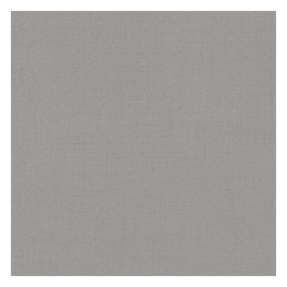 Stoffmuster für Raffrollo nach Maß | C9340 grau / transparent / Castell Stoffmuster für Raffrollo nach Maß | C9340 grau / transparent / Castell