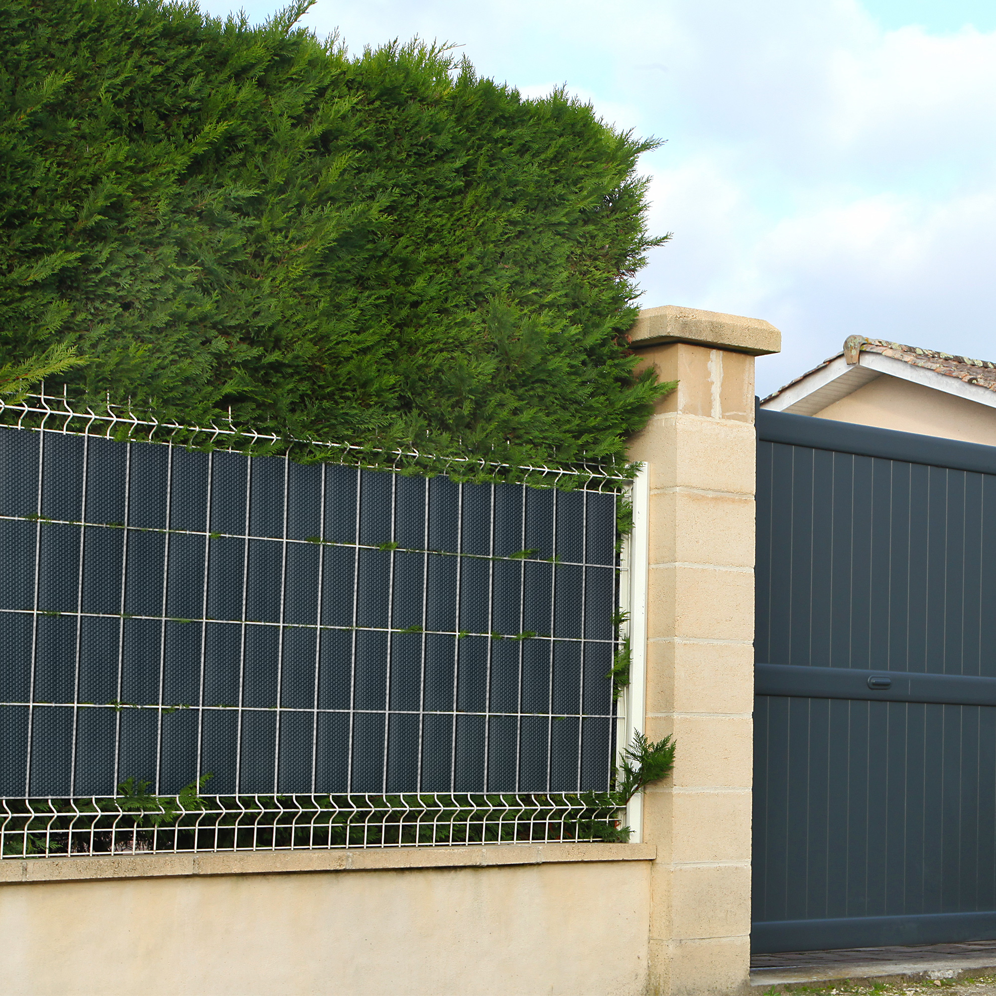 slider_image_25891c6b9798404b9a0c76c3ad2e07b1