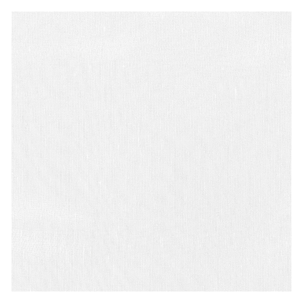 Stoffmuster für Raffrollo nach Maß | A9301 weiß / transparent / Amman