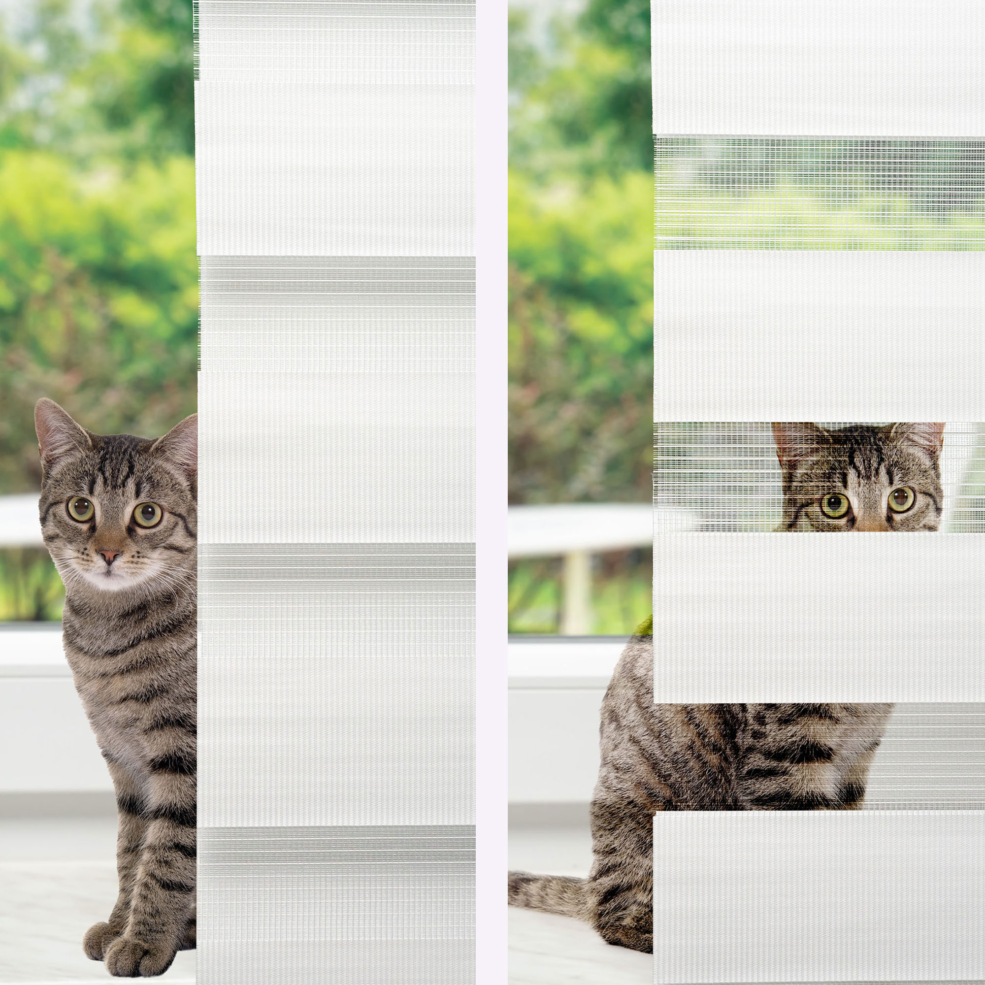 slider_image_d30883f2c64f4dc793dda1ce0ced4eab Eine Katze schaut durch vertikale Jalousien vor einem Fenster