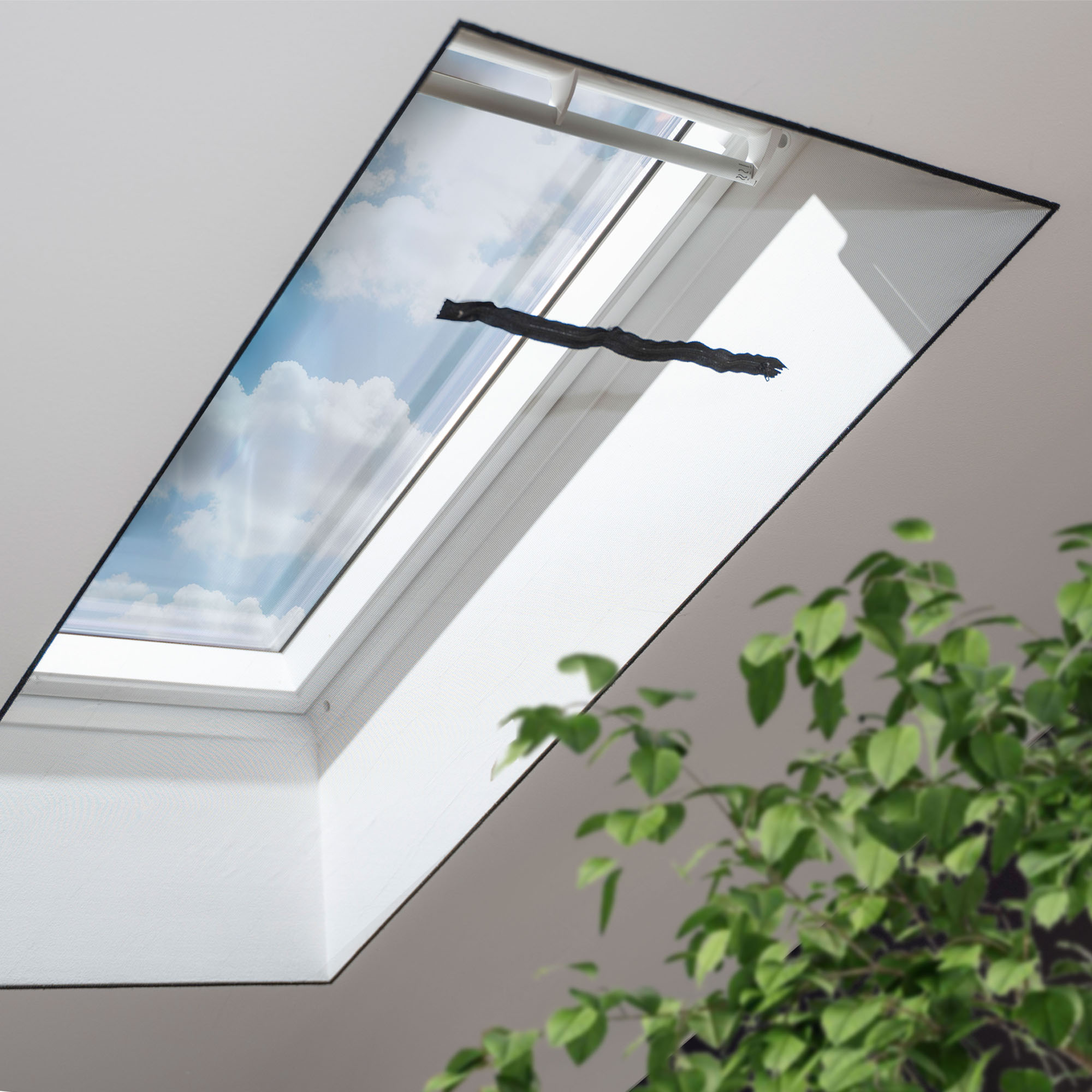 Fliegengitter für Dachfenster (Typ nach Wahl)