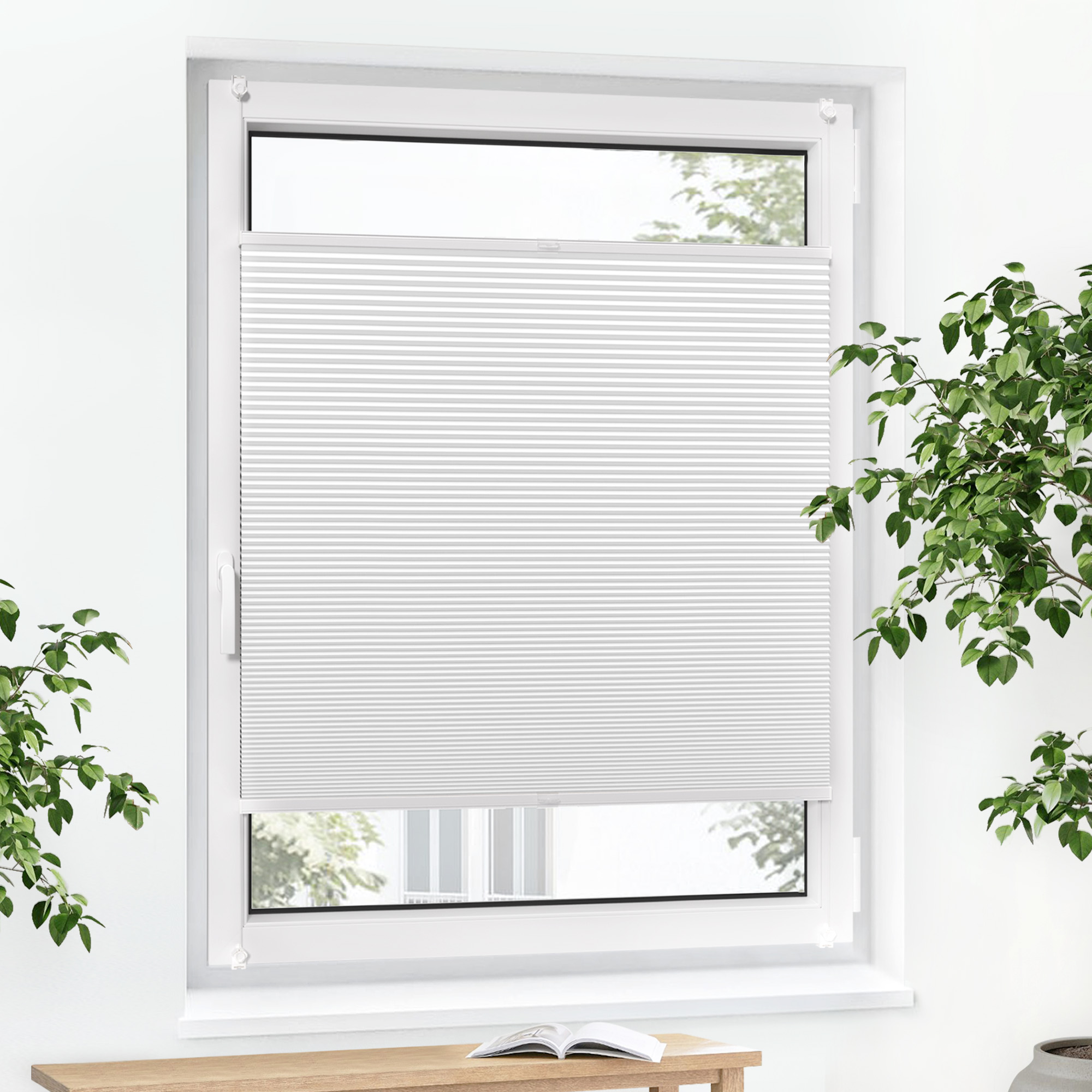 Fenster mit Wabenplissee zur Lichtregulierung und Sichtschutz, umgeben von Pflanzen