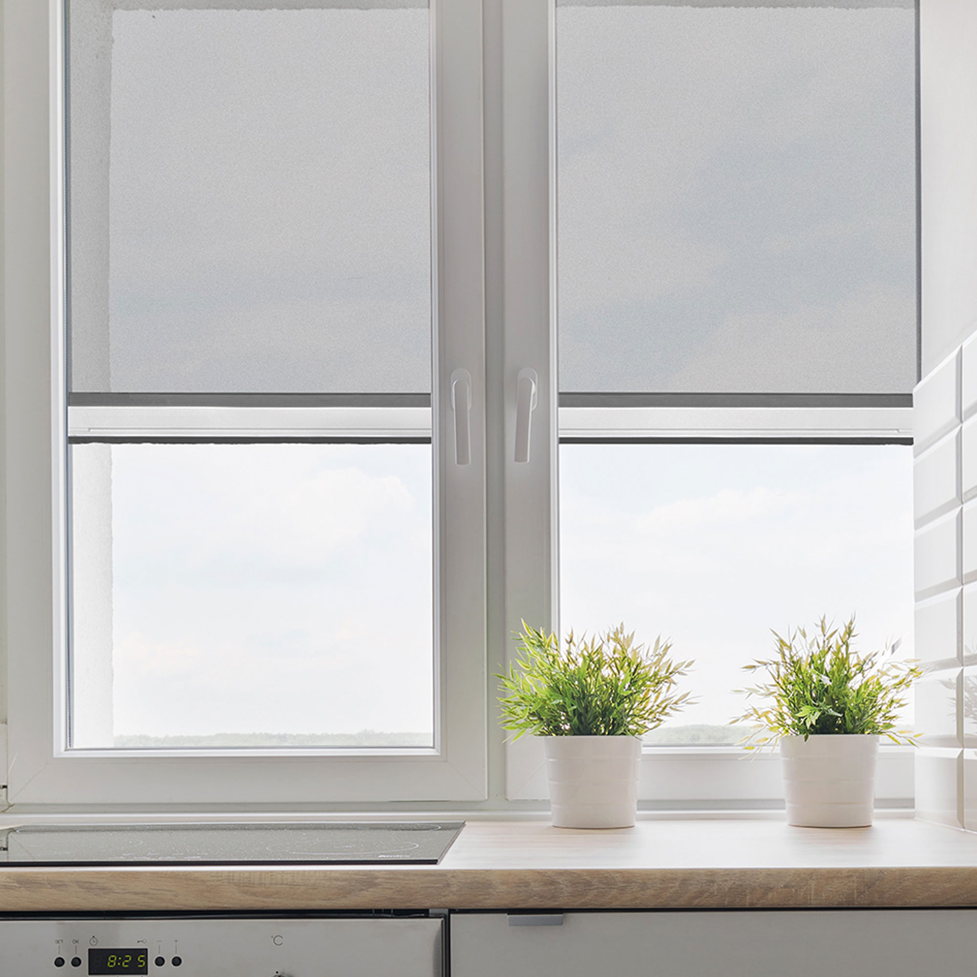 2 in 1 Insektenschutzrollo Volaris (Typ nach Wahl)