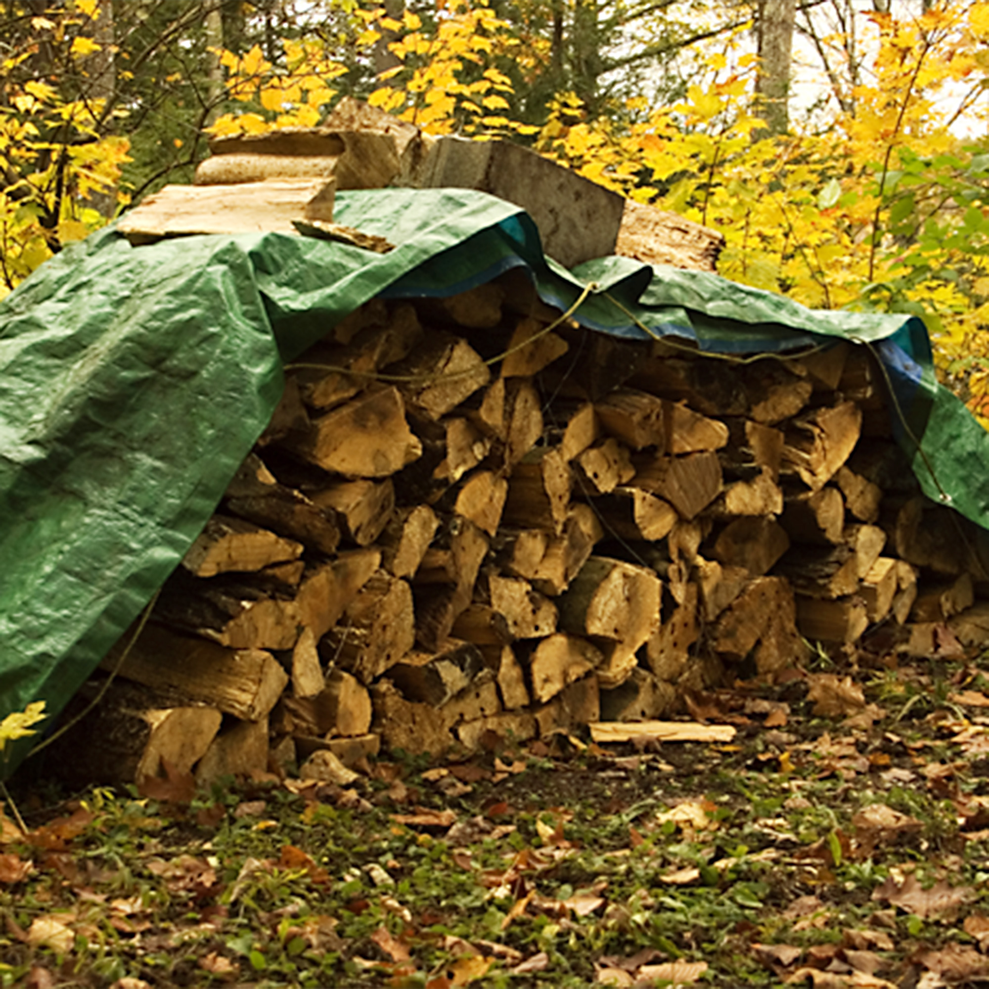 slider_image_1bff6c2b90984c3996c791e43dafb2f3