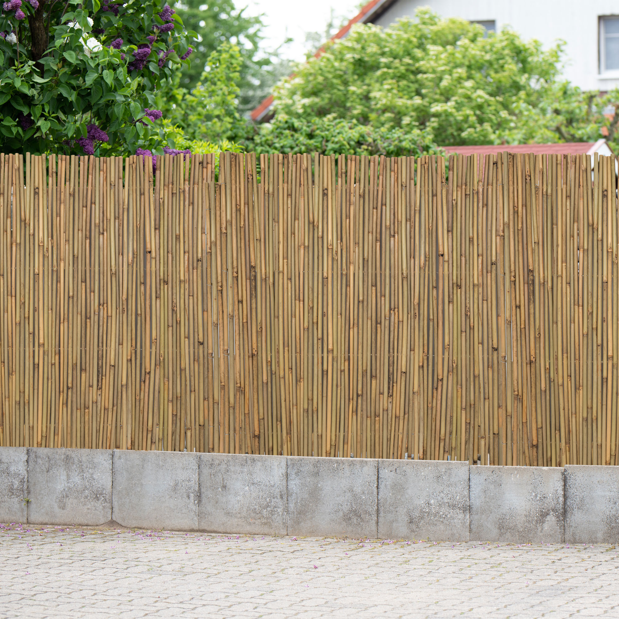 Bambus-Sichtschutzmatte als Gartenabtrennung vor einer Hecke und einem Haus im Hintergrund