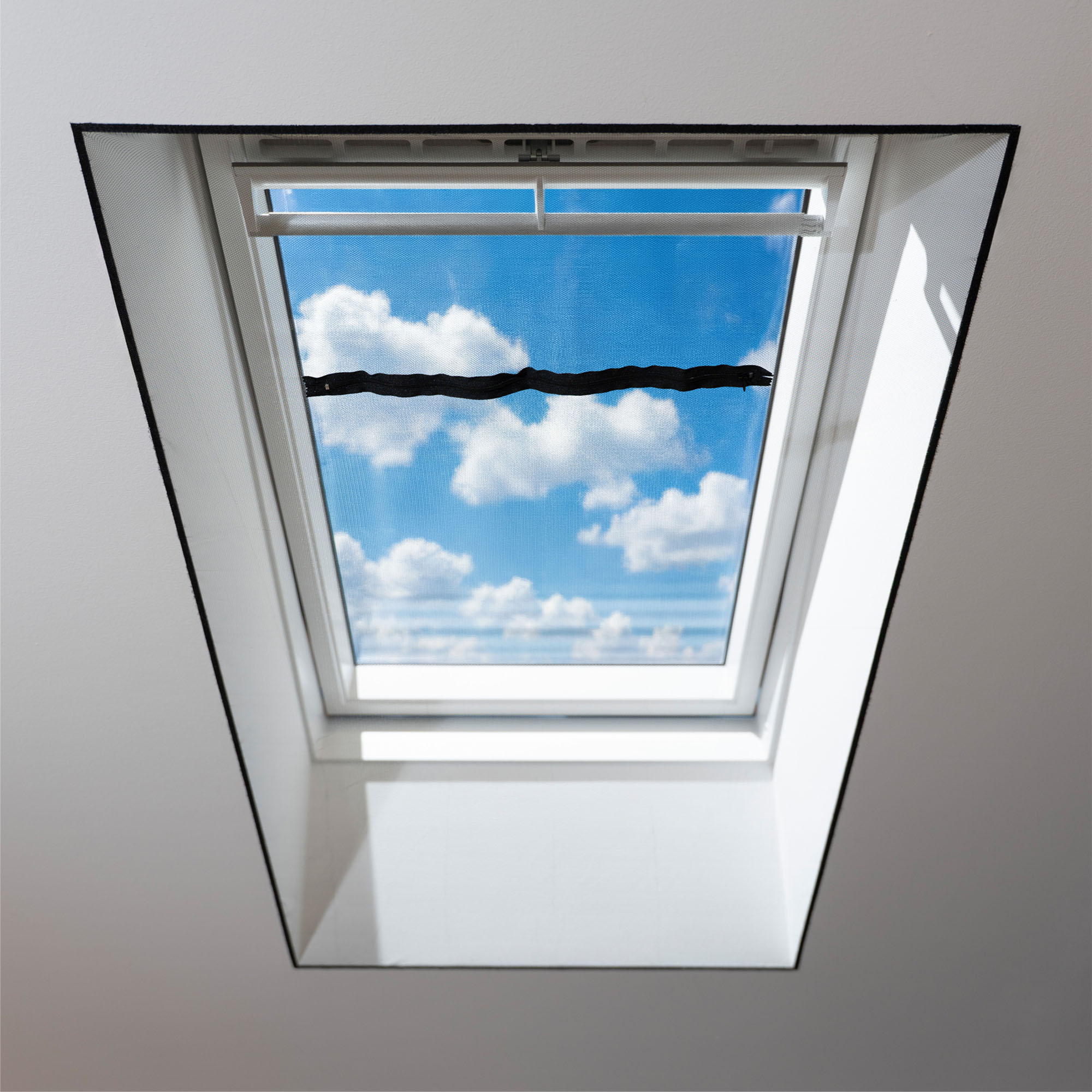 slider_image_019b7ef5781a79d98ea944db76ac12ad